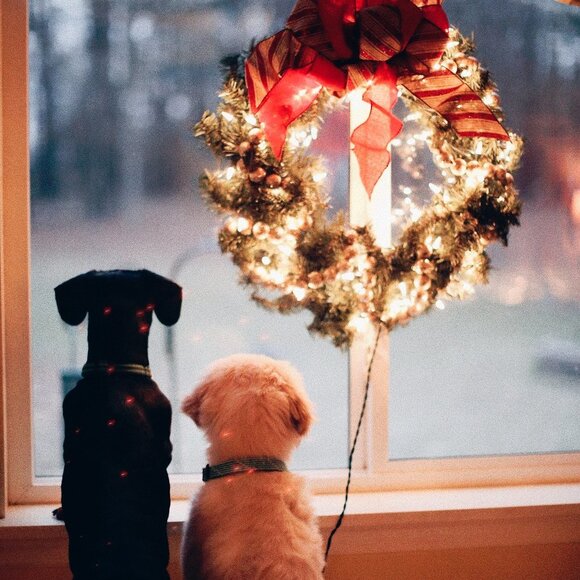 Other - Canada Post watch?